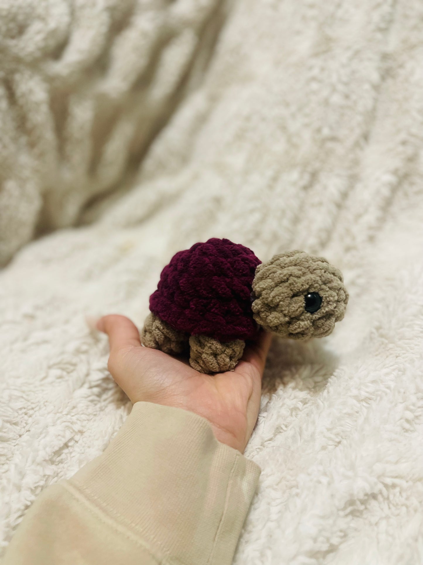 Baby Turtle