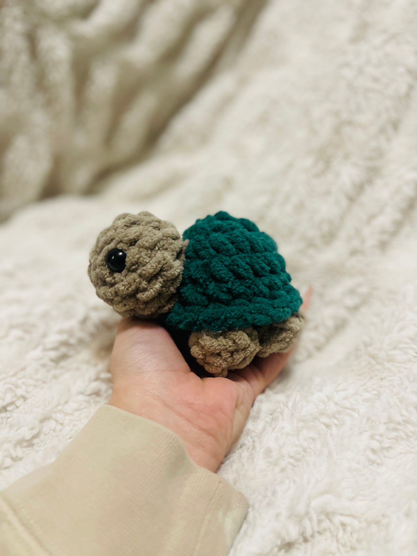 Baby Turtle