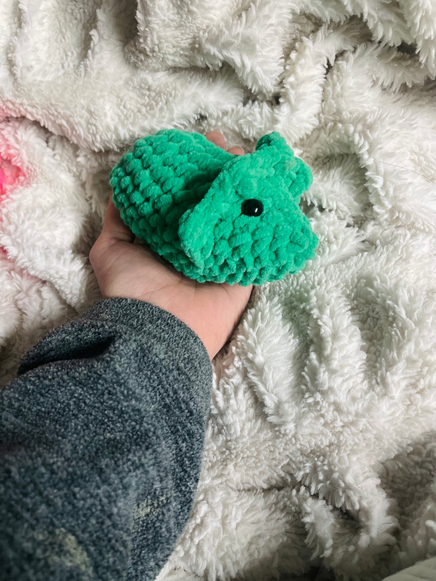 Baby Triceratops