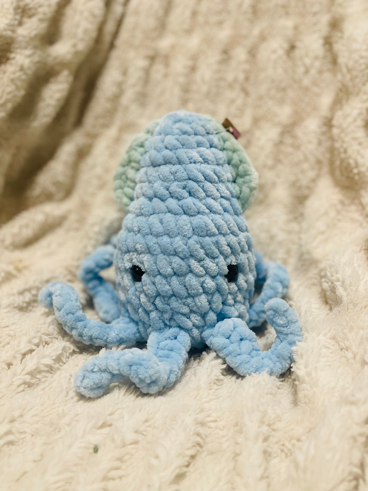 Squid