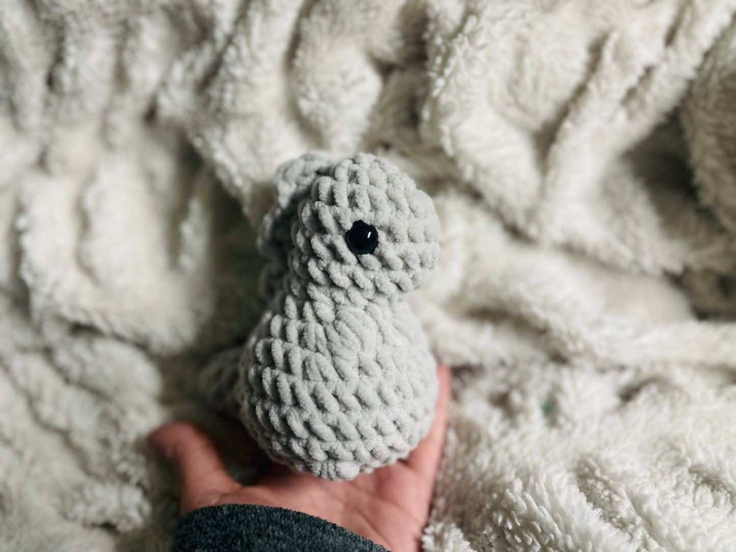 Baby Dino (T-Rex)