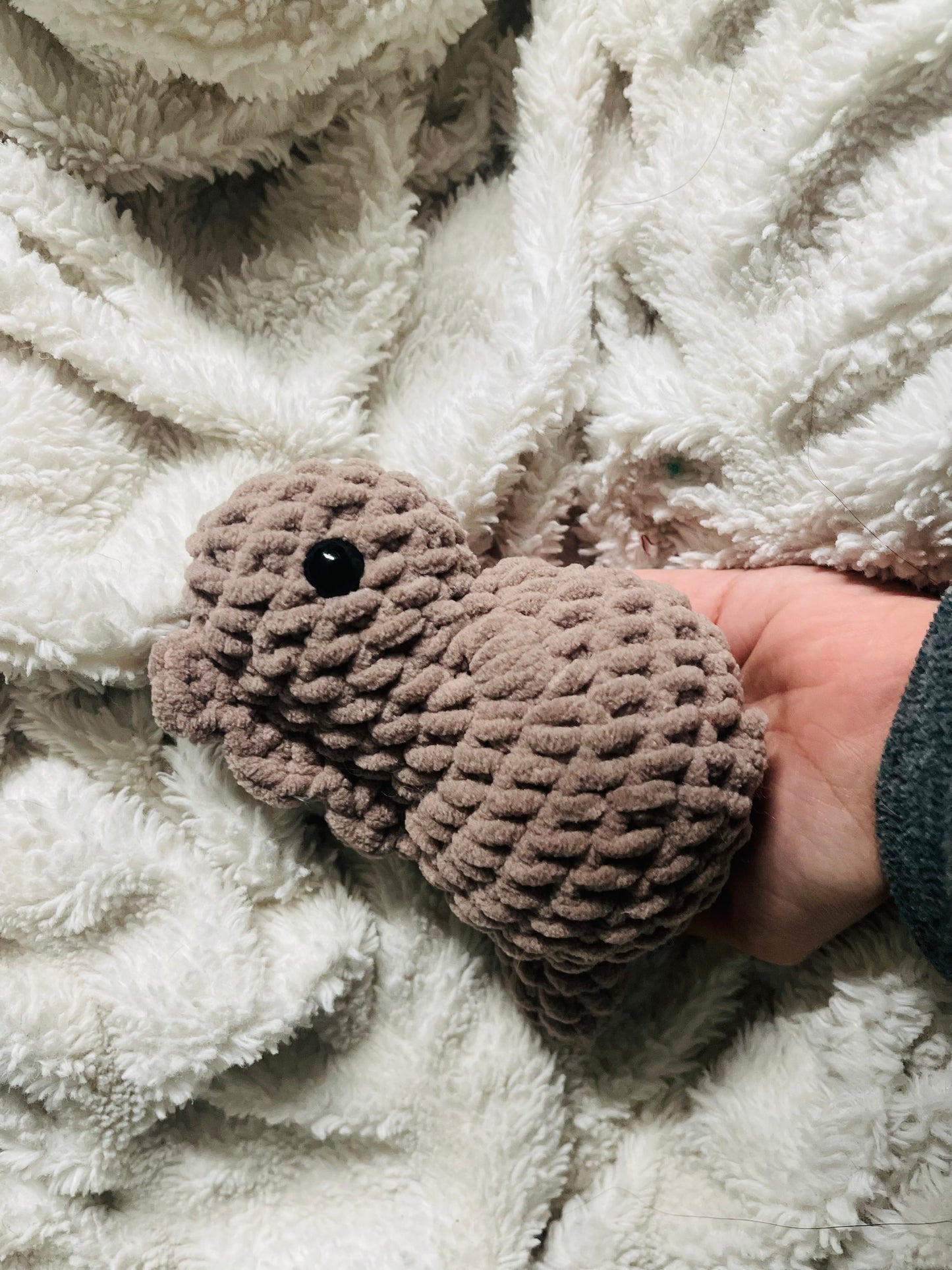 Baby Dino (T-Rex)