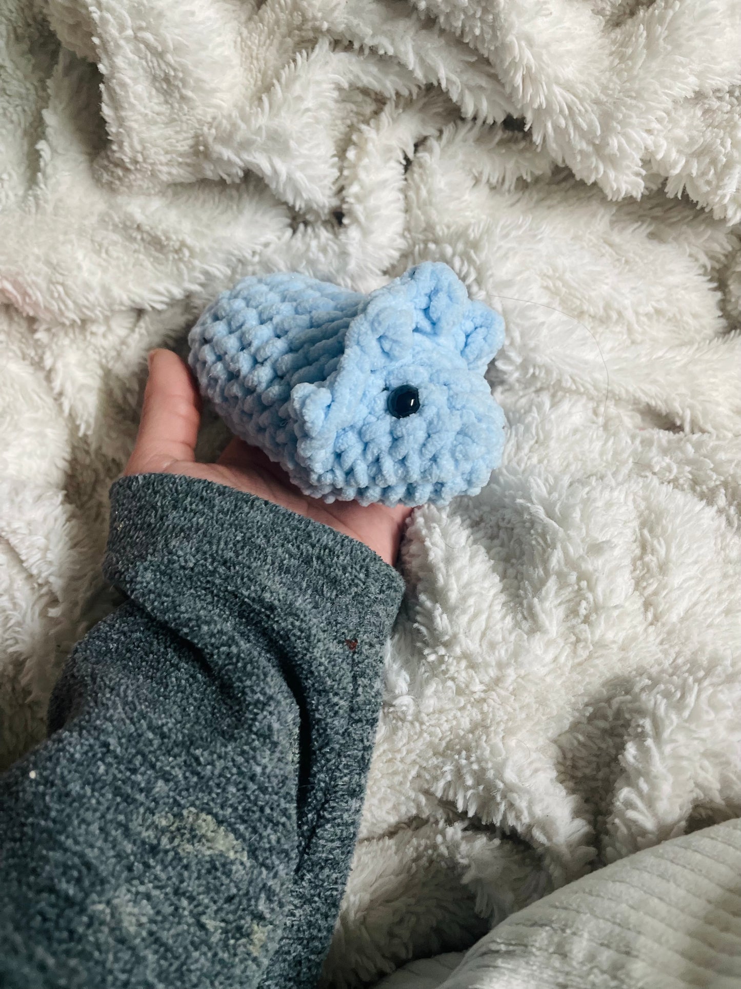 Baby Triceratops