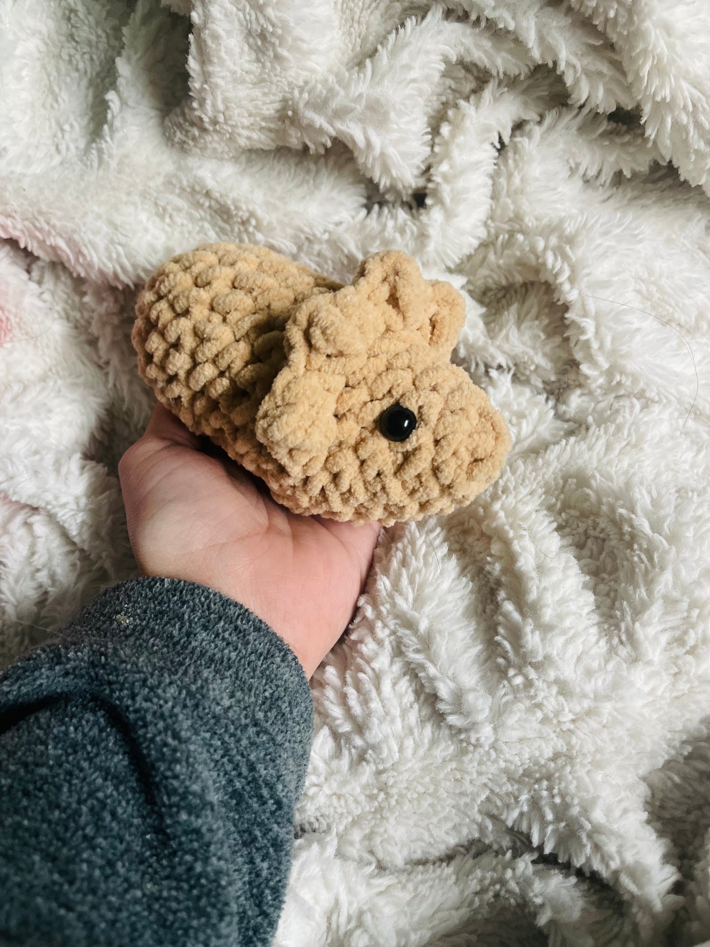 Baby Triceratops