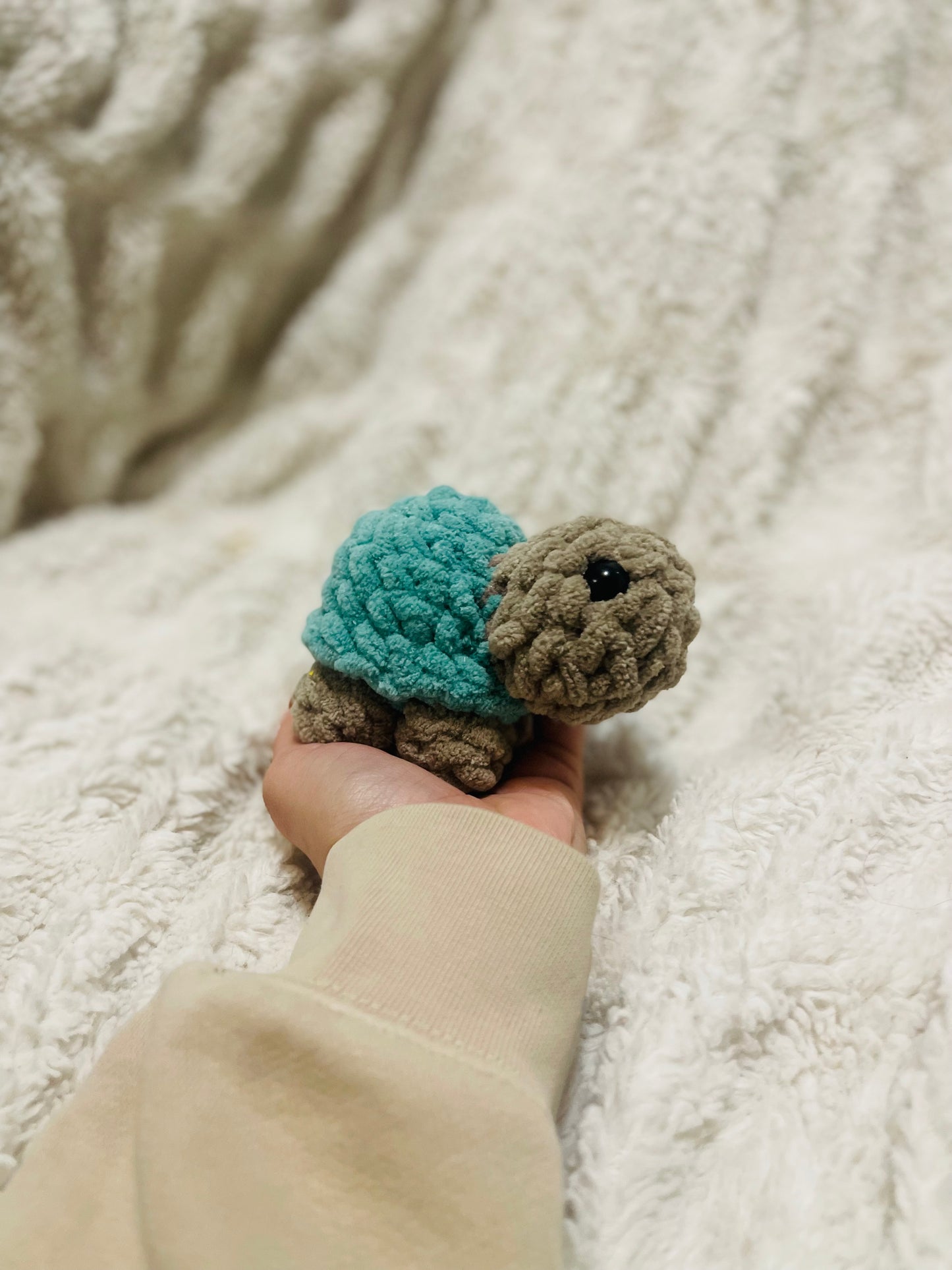 Baby Turtle