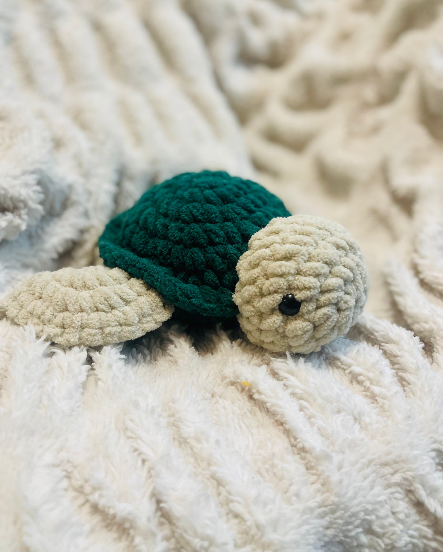 Sea Turtle