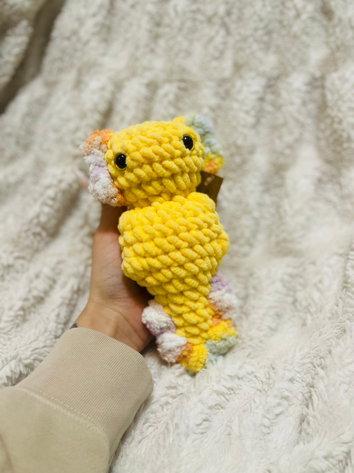 Axolotl