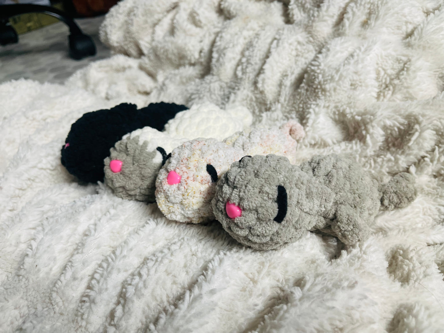Kitten