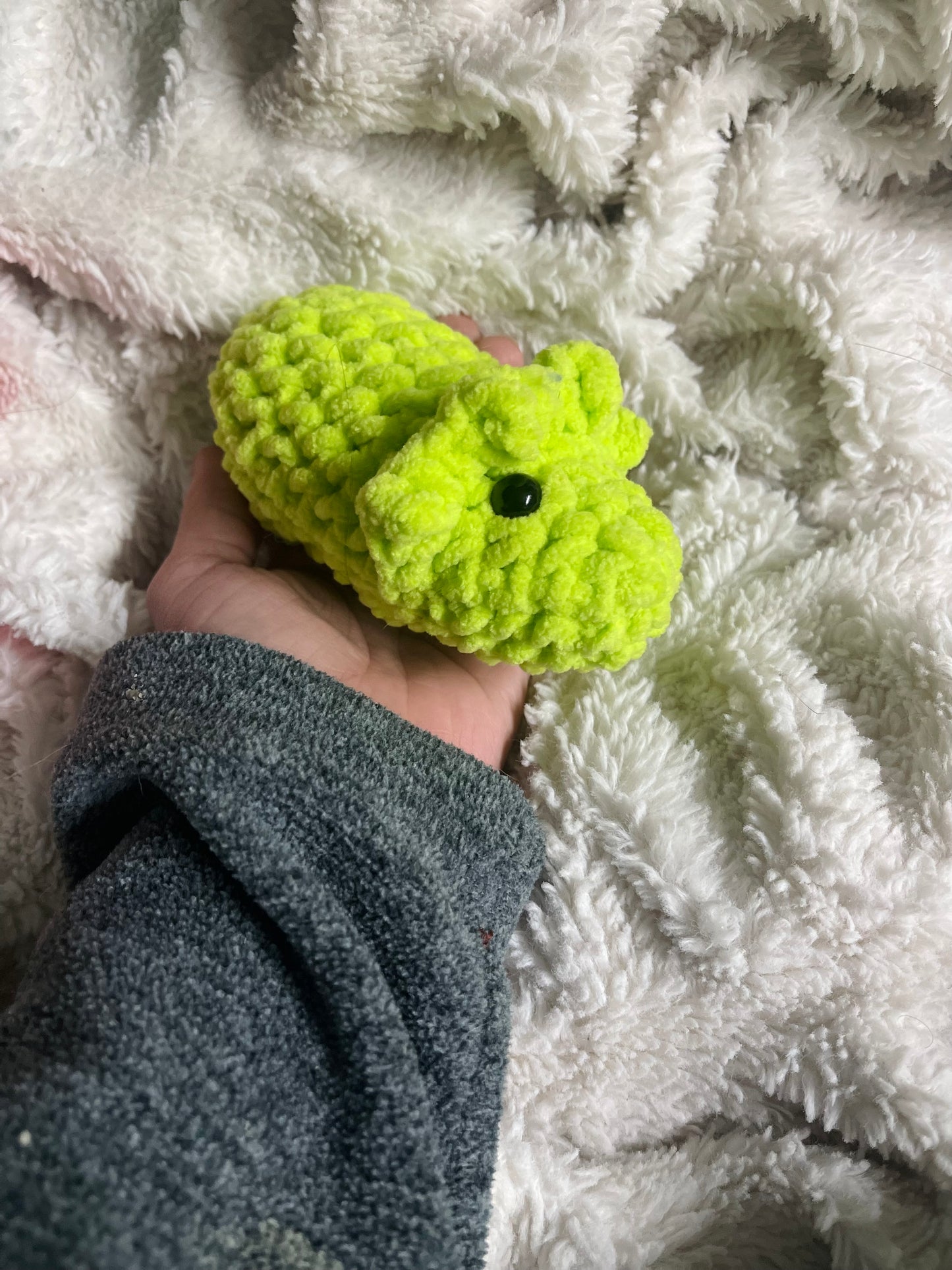 Baby Triceratops