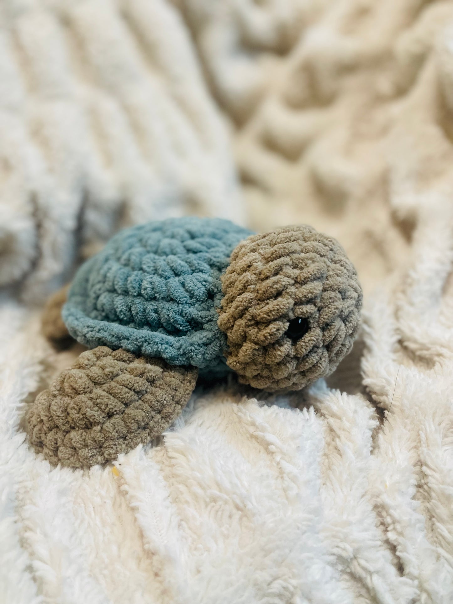 Sea Turtle