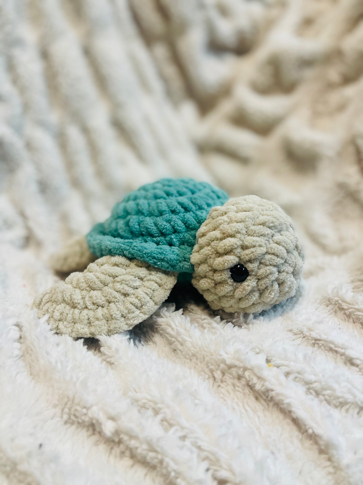 Sea Turtle