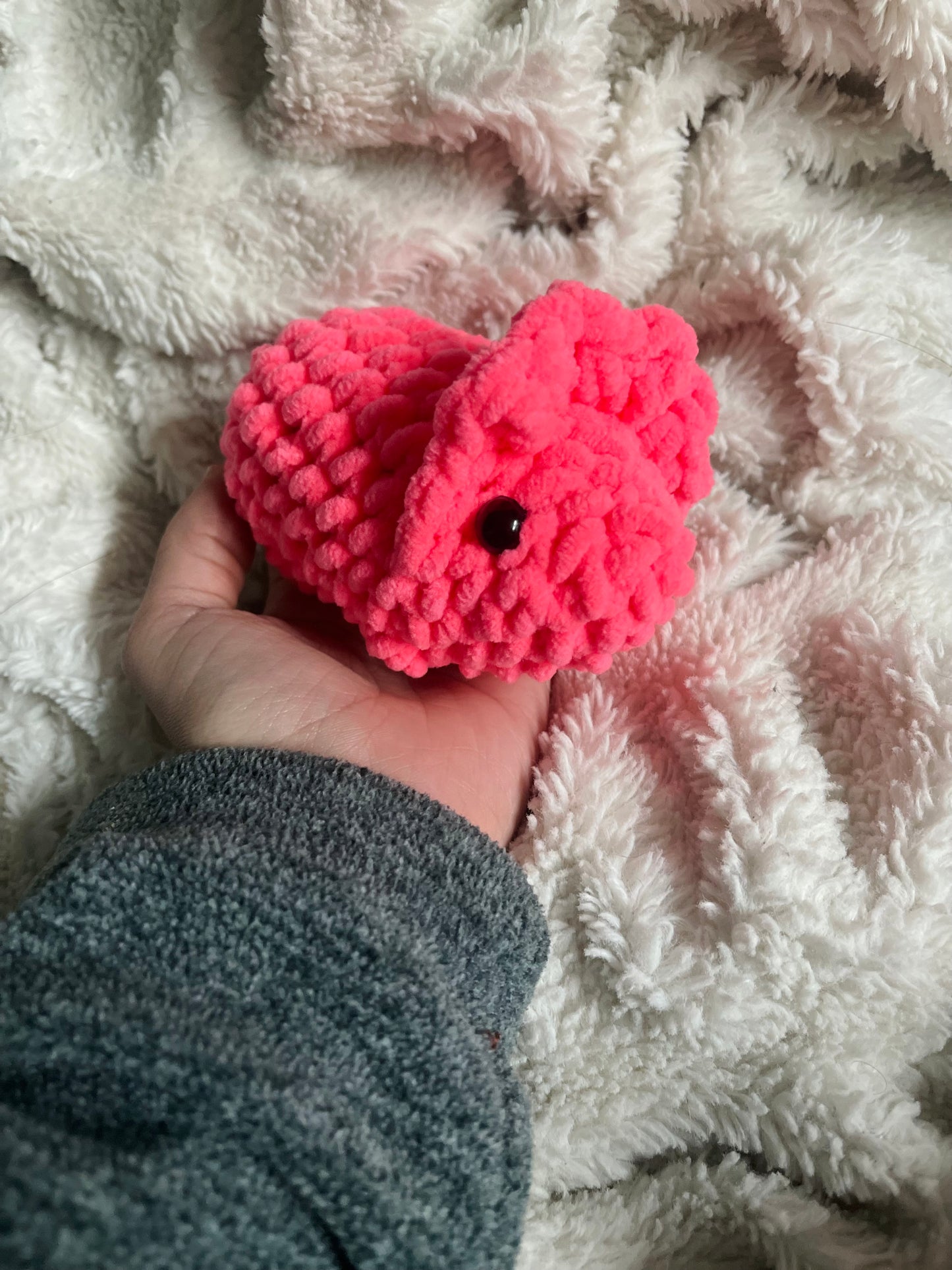 Baby Triceratops