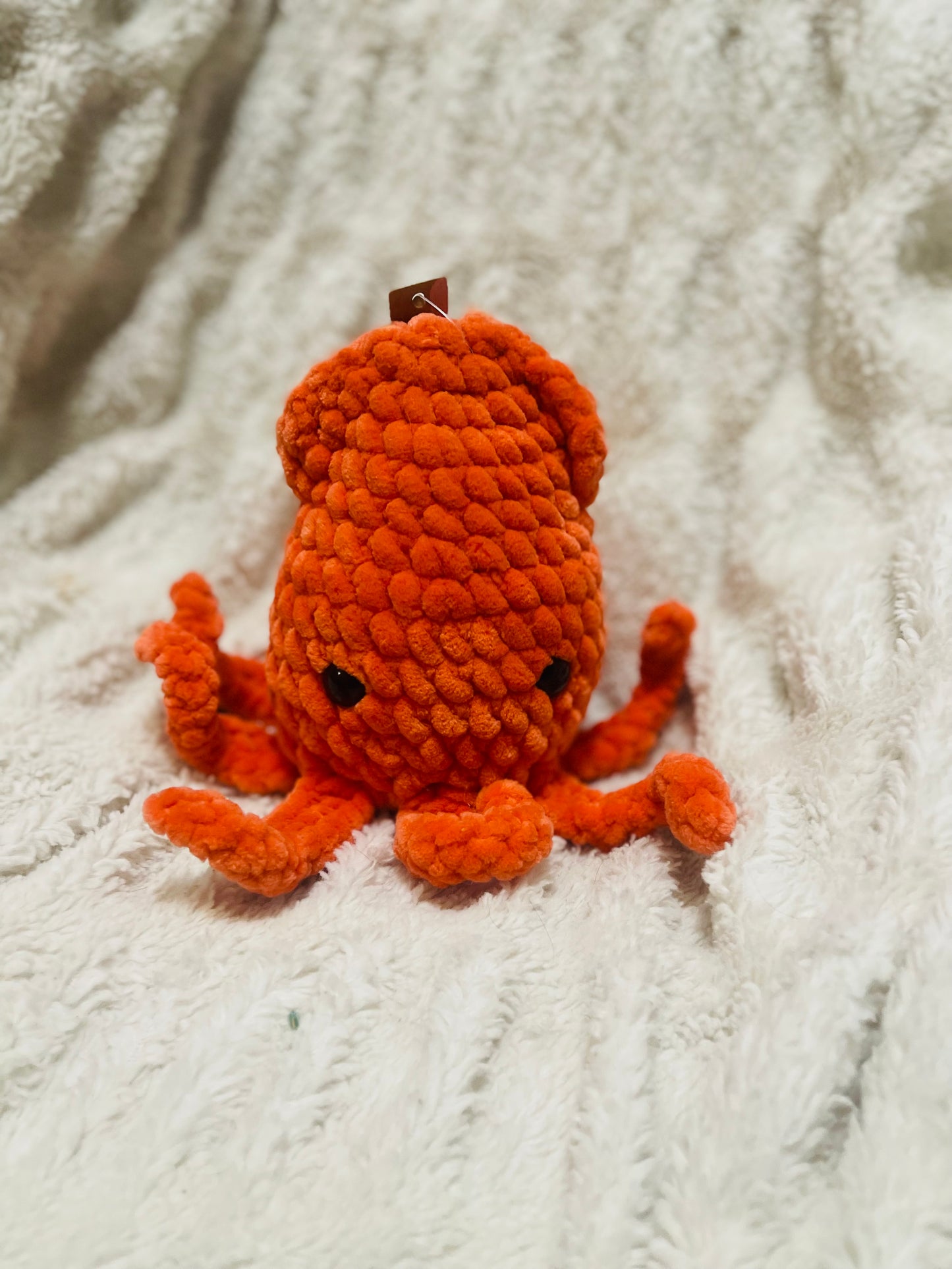 Squid