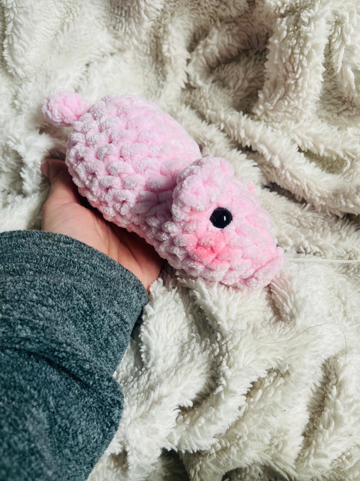 Pig