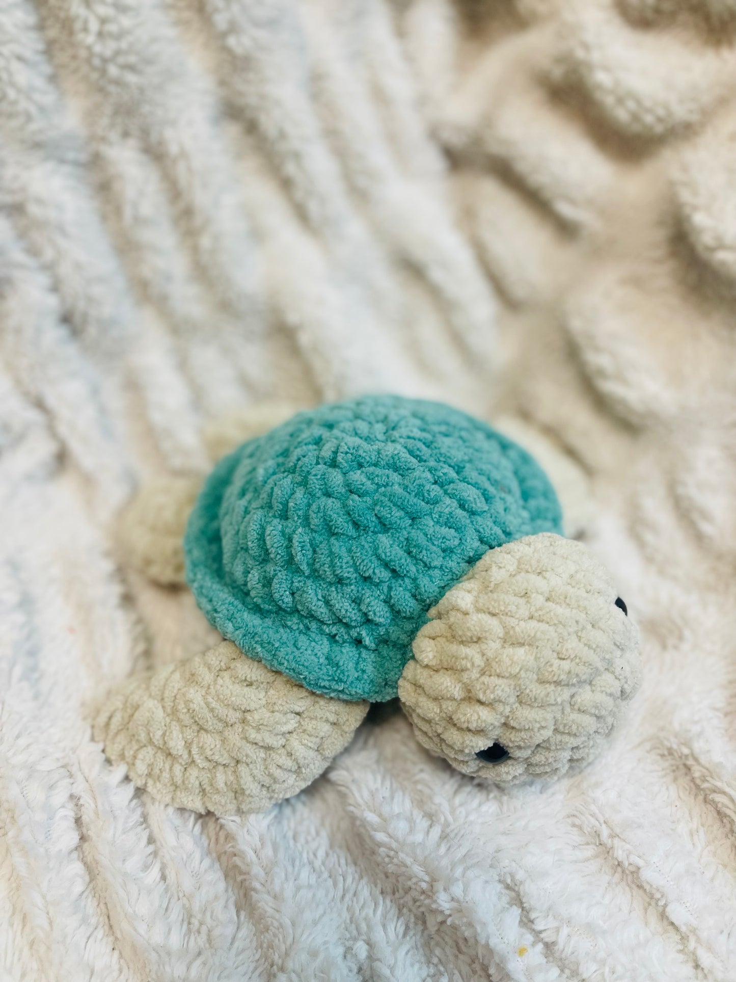 Sea Turtle