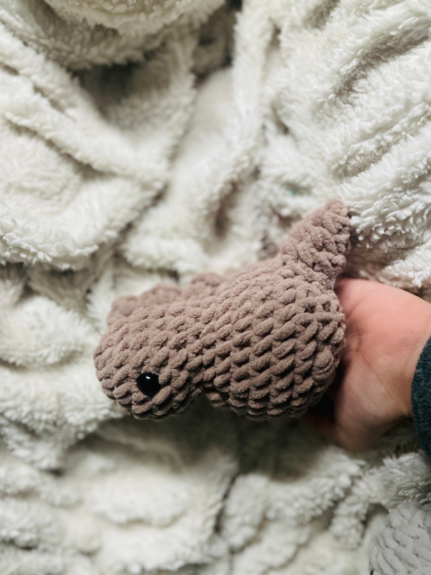 Baby Dino (T-Rex)