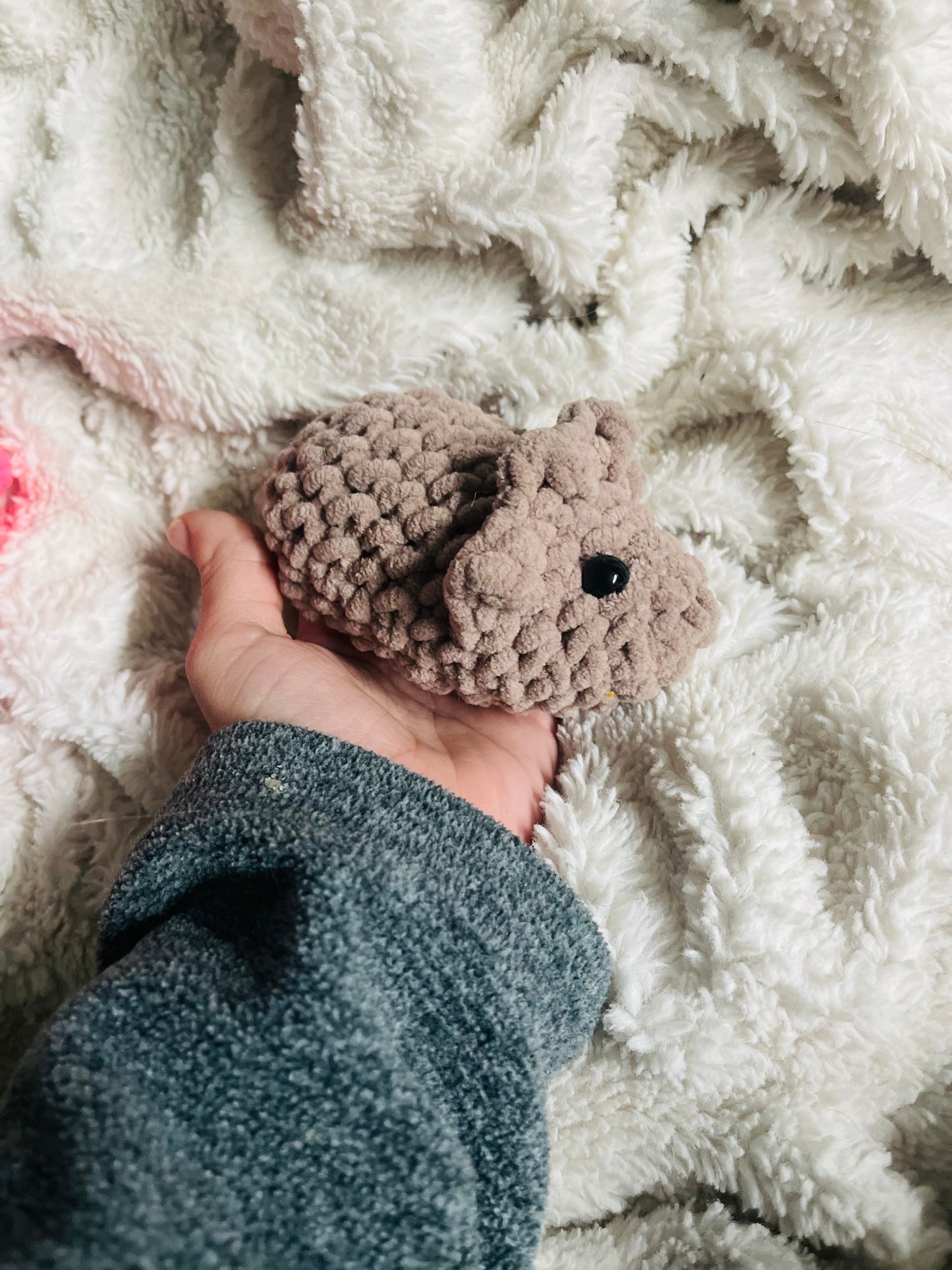 Baby Triceratops