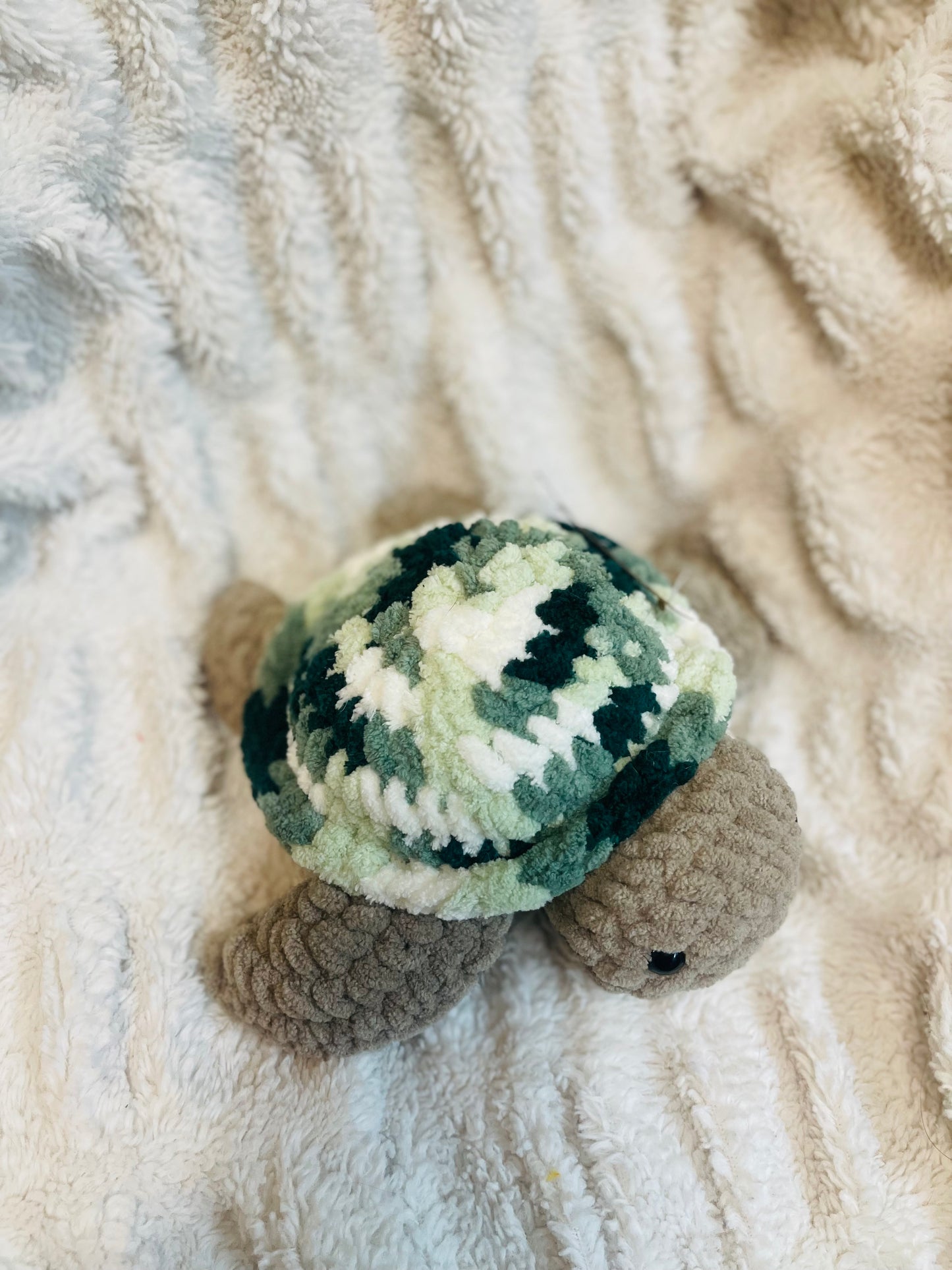 Sea Turtle