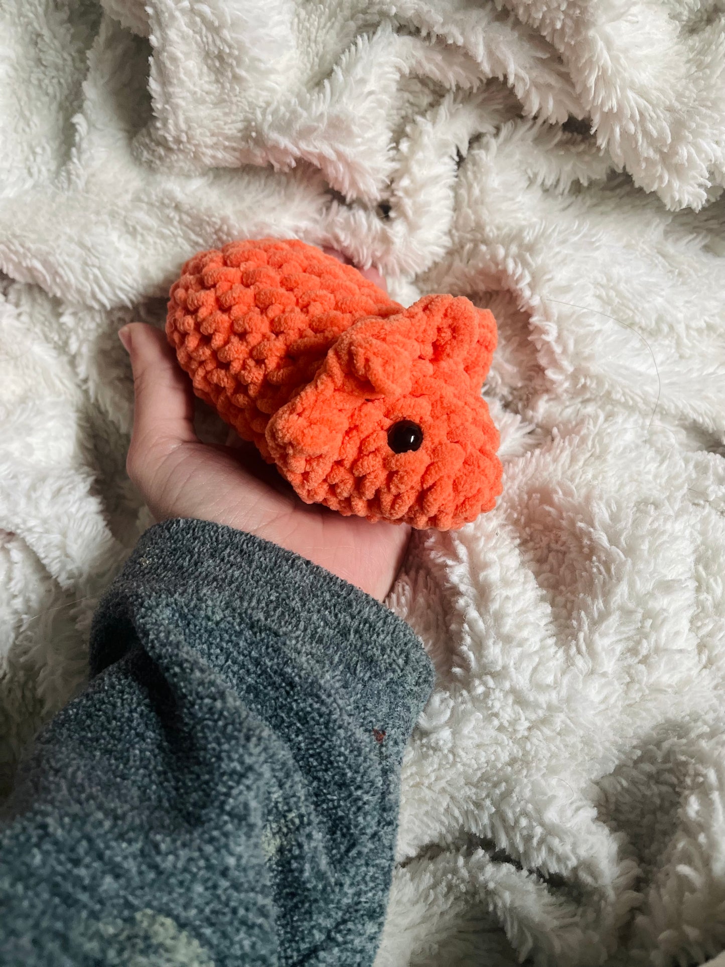 Baby Triceratops