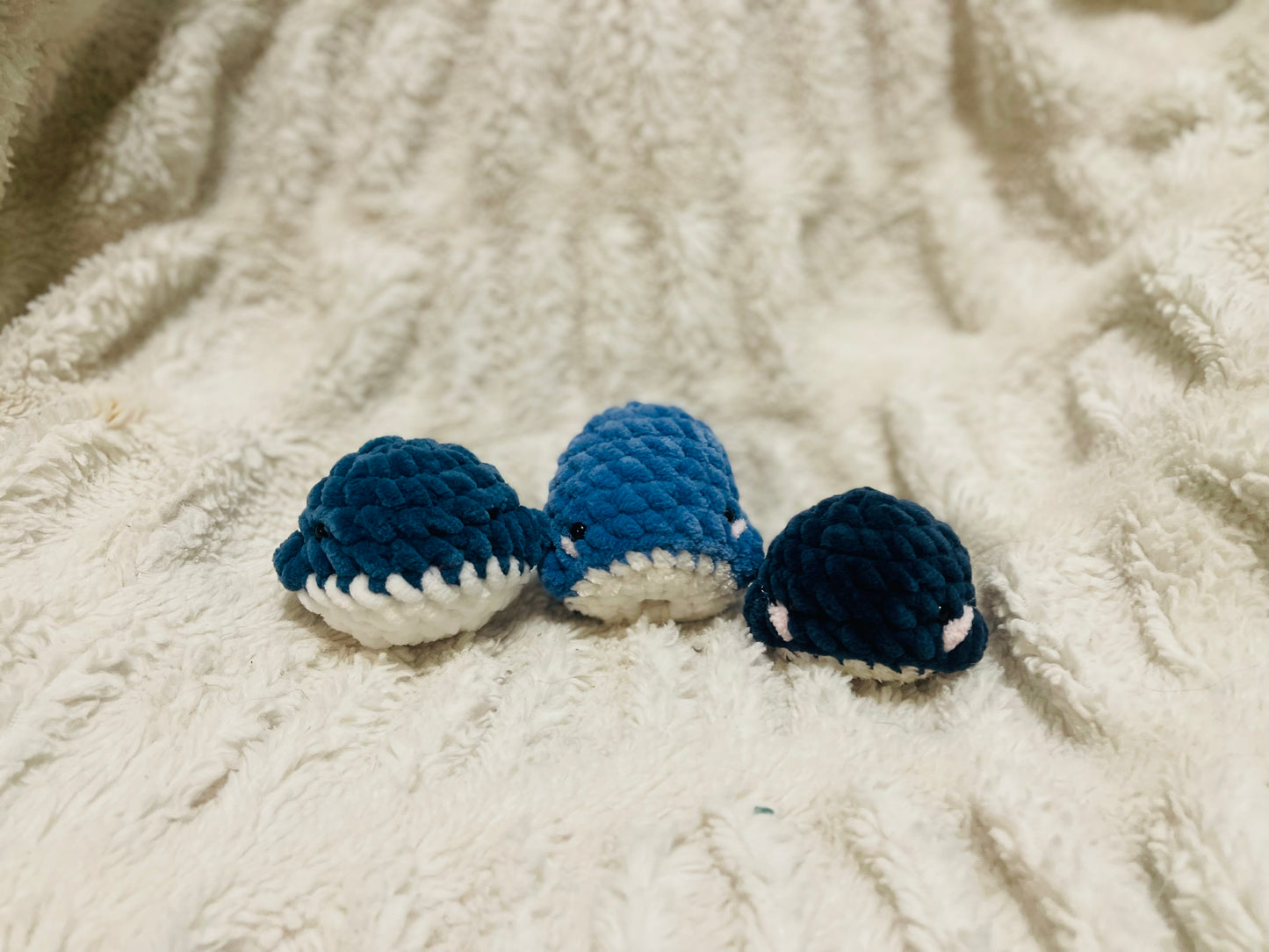 Baby Whale
