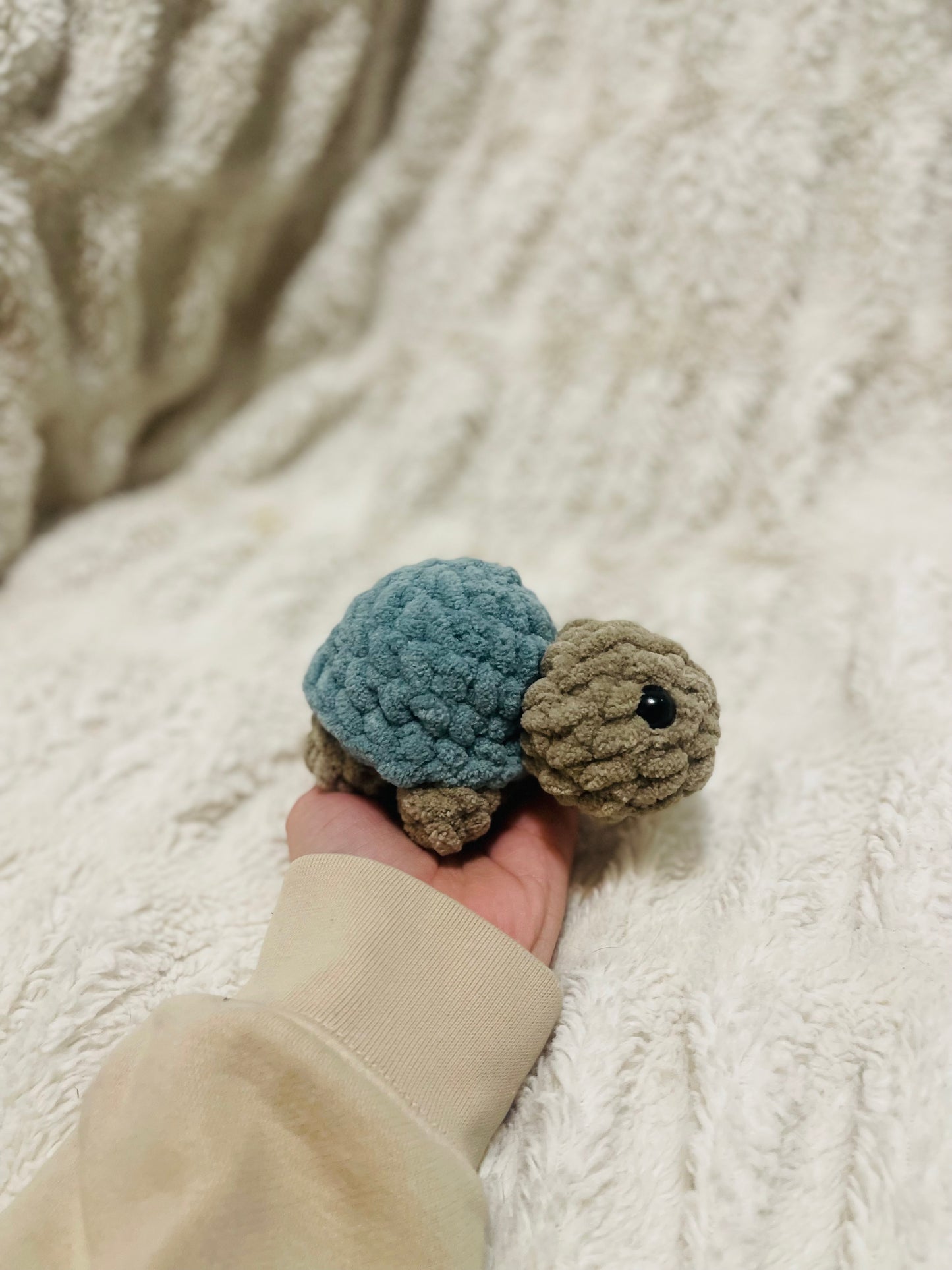 Baby Turtle