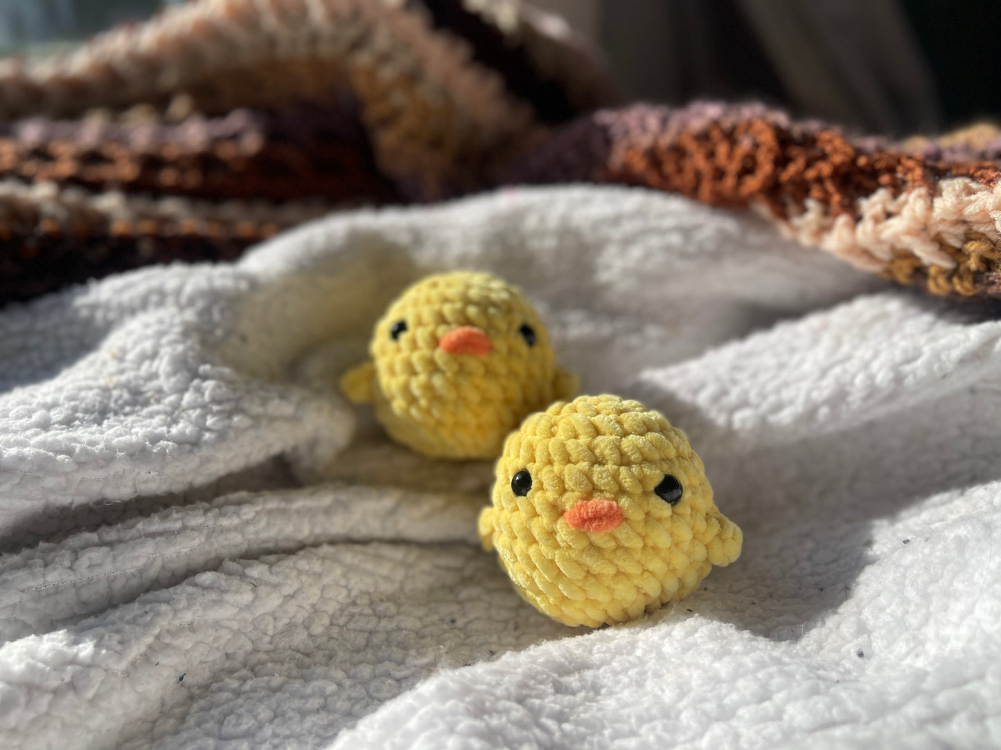 Chicks