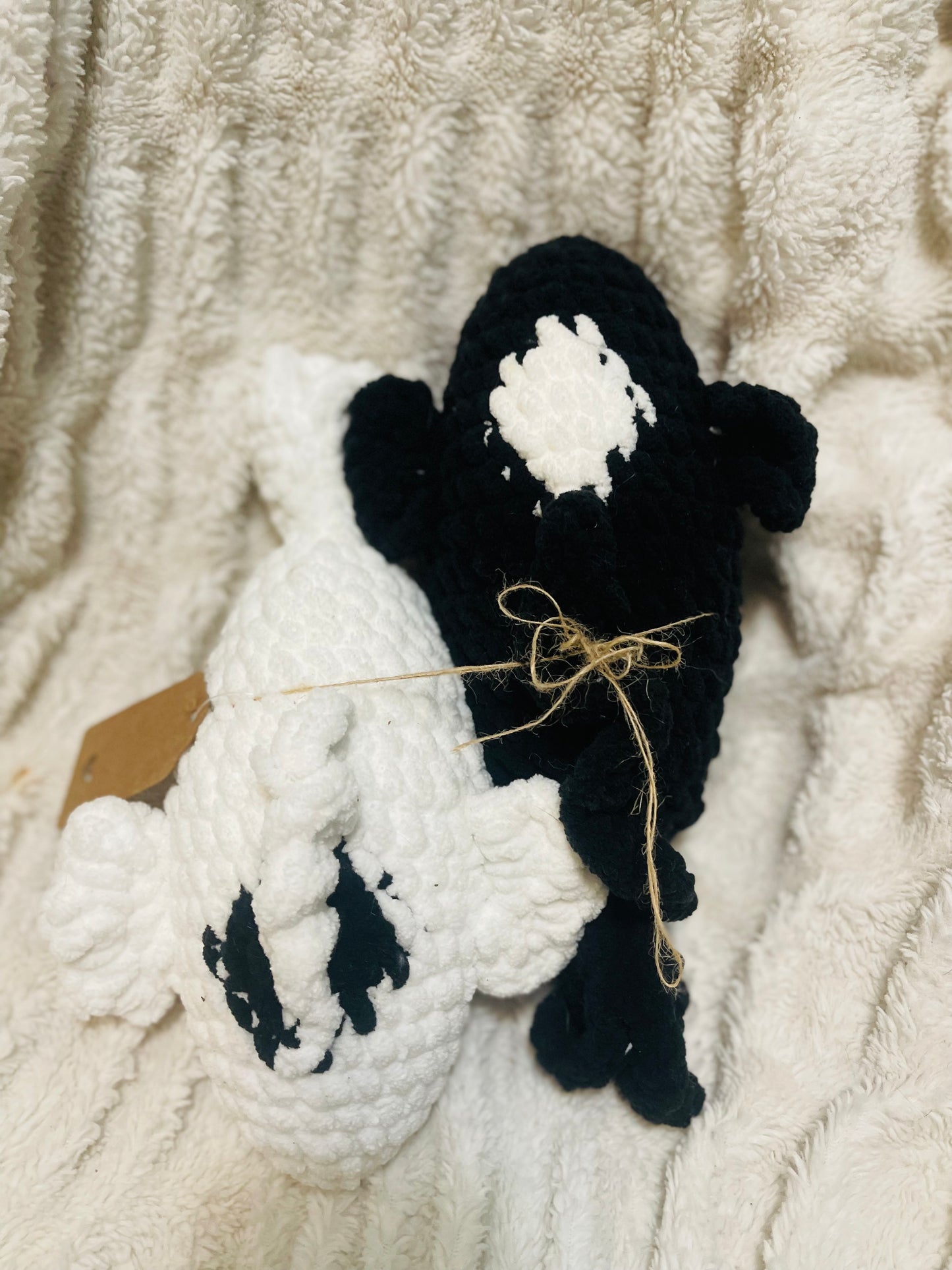 Yin & Yang Koi