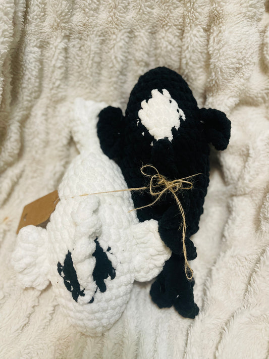 Yin & Yang Koi