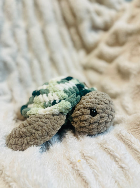 Sea Turtle