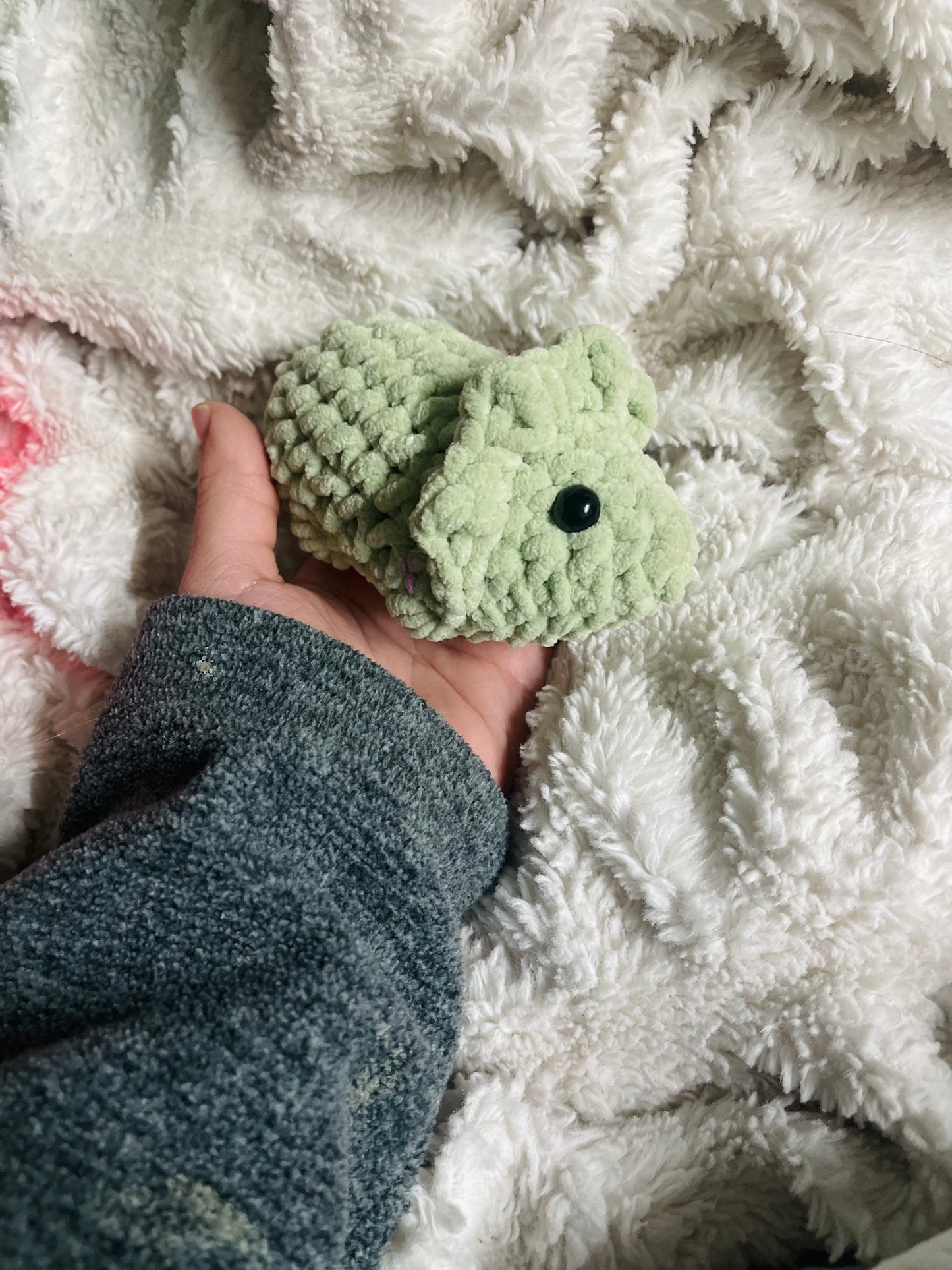 Baby Triceratops