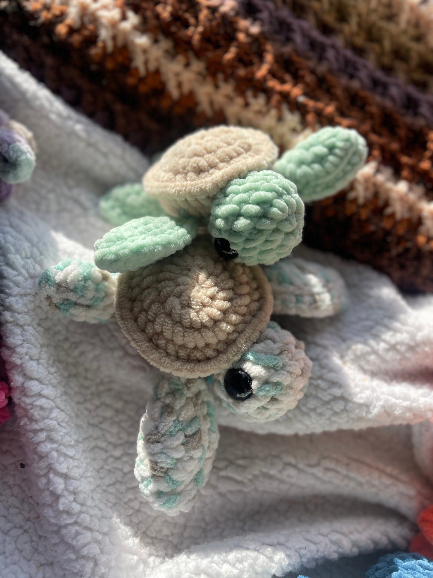 Baby Sea Turtle